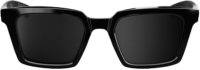 100percent Erba - Gloss Havana - Gold Mirror Lens