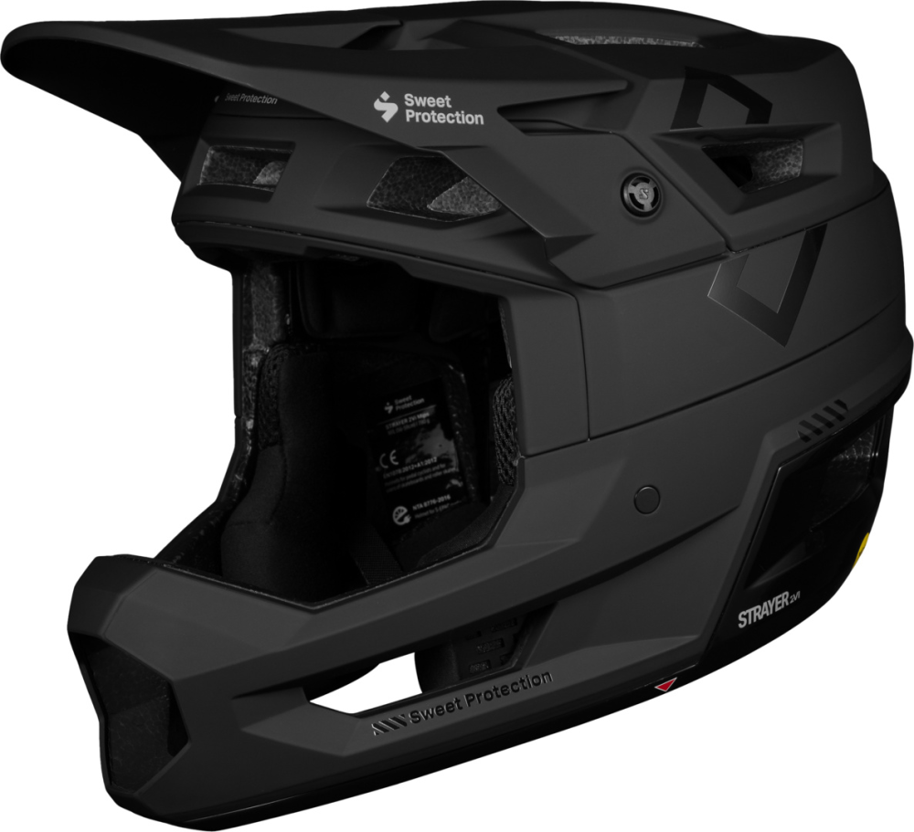 Sweet Protection Strayer 2Vi Mips Helmet matte black SM