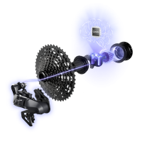 Shimano Hinterradnabe FH-U6060 für Q-Auto 10/11-Gang 142 mm 32-Loch 12 mm Center-Lock