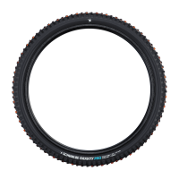 Schwalbe Pneu Tacky Chan 29x2.50 Gravity Pro UltraSoft TL-Ready black Radial