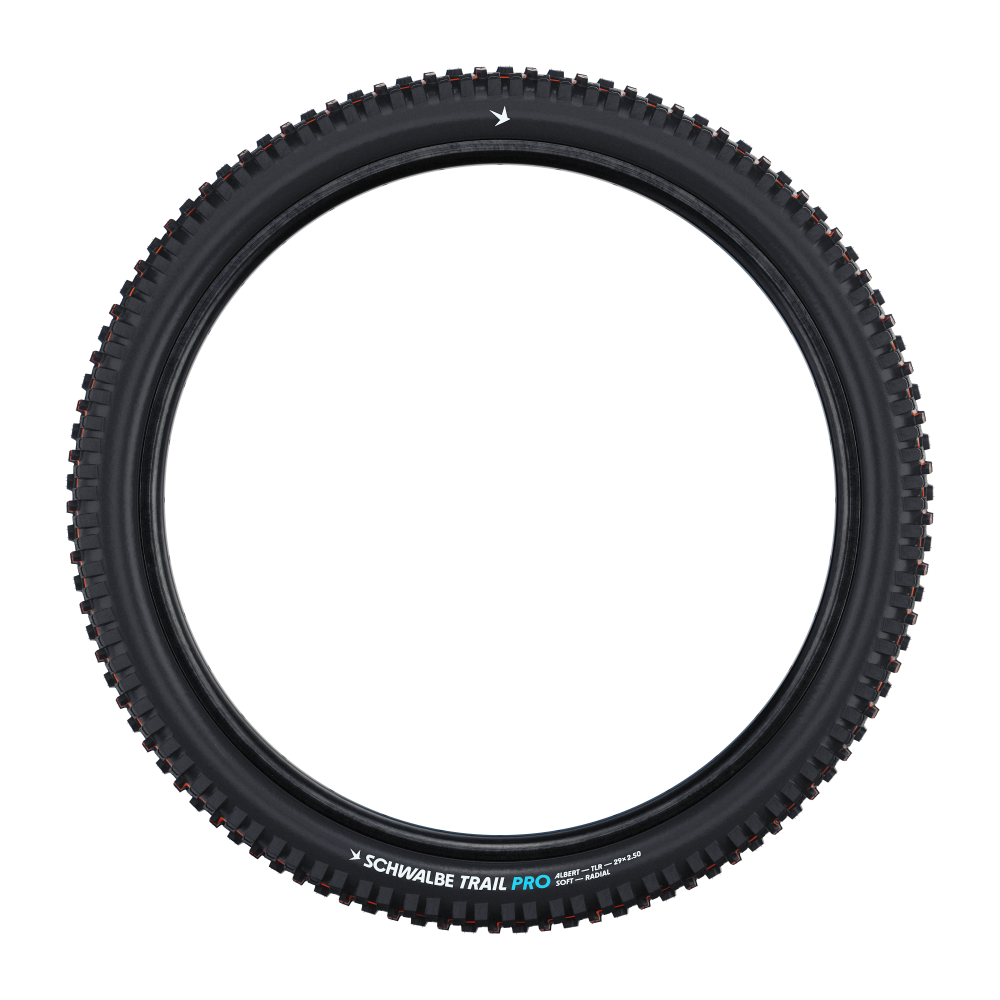 Schwalbe Pneu Albert 29x2.50 Trail Pro Soft TL-Ready black Radial