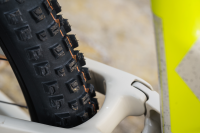 Schwalbe Pneu Albert 29x2.50 Trail Pro Soft TL-Ready black Radial