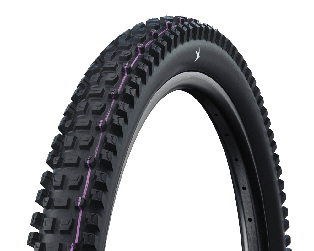 Schwalbe Pneu Albert 29x2.50 Gravity Pro UltraSoft TL-Ready black Radial