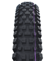 Schwalbe Pneu Albert 29x2.50 Gravity Pro UltraSoft TL-Ready black Radial