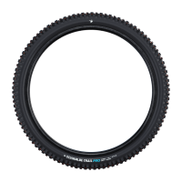 Schwalbe Pneu Albert 29x2.60 Trail Pro Soft TL-Ready black Radial