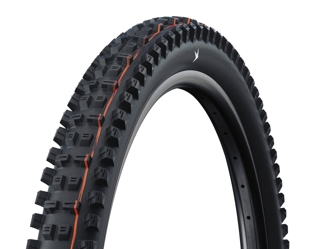 Schwalbe Pneu Tacky Chan 29x2.50 Gravity Pro Soft TL-Ready black Radial