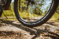 Schwalbe Pneu Smart Sam 29x2.60 Starr para