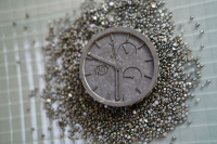 Silca Speed Chips