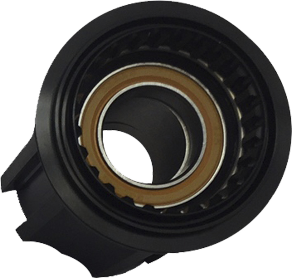 DT Swiss Leerlaufkörper Sram XD