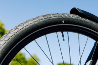 Schwalbe Pneu Motion Big Apple 28x2.15 Addix Green starr mit Reflexstreifen black