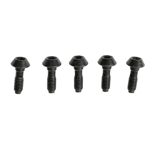 Magura Hohlschraube f. alle MT-Bremssättel mit drehbarem Leitungsanschluss, 5 Stk.