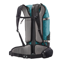 Ortlieb Atrack 25 L petrol