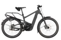 Riese & Müller Delite5 pinion