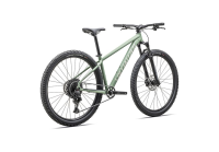 Specialized Rockhopper Comp