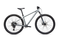 Specialized Rockhopper Comp