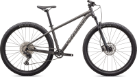 Specialized Rockhopper Expert, L