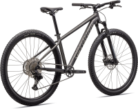 Specialized Rockhopper Expert, L