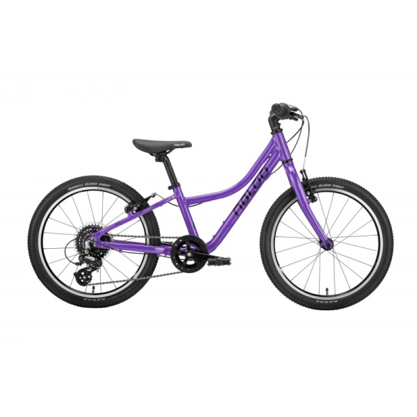NALOO Chameleon 20", Mk2.1, 8-Speed