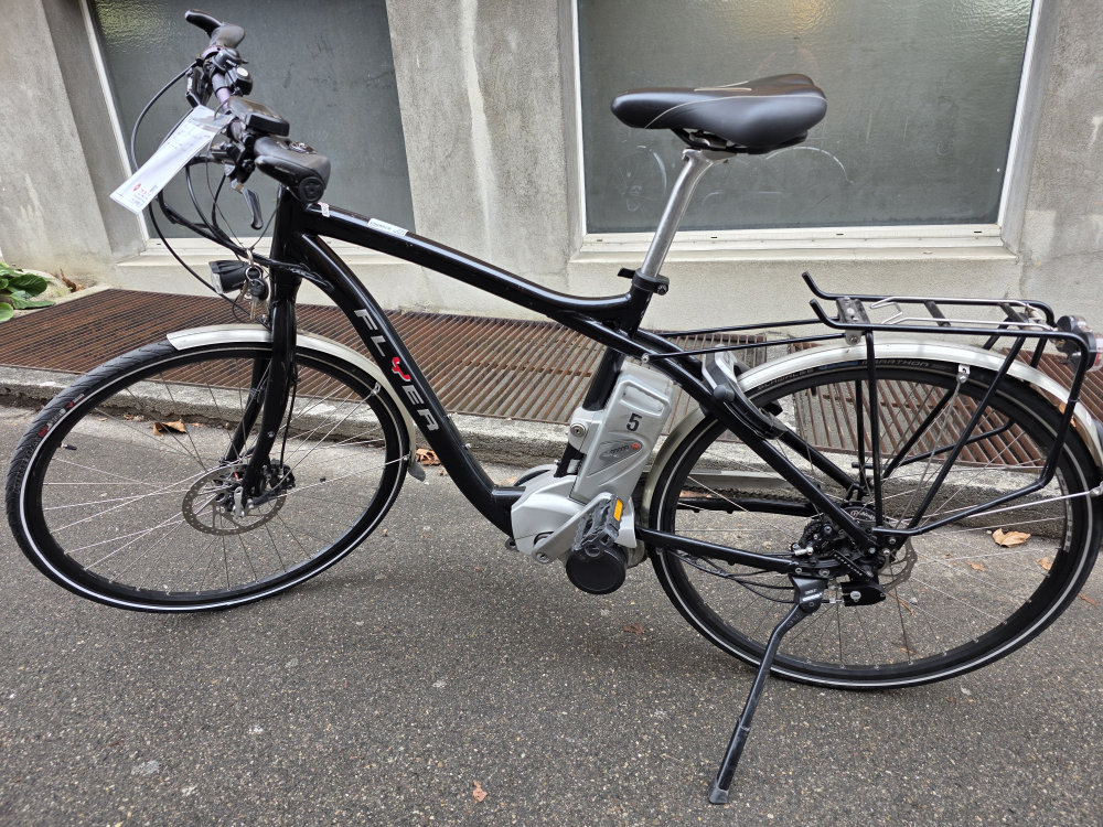 Flyer Flyer S-Serie Tour 28 M Rohloff