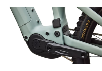 Specialized Levo 4 EVO Comp S5