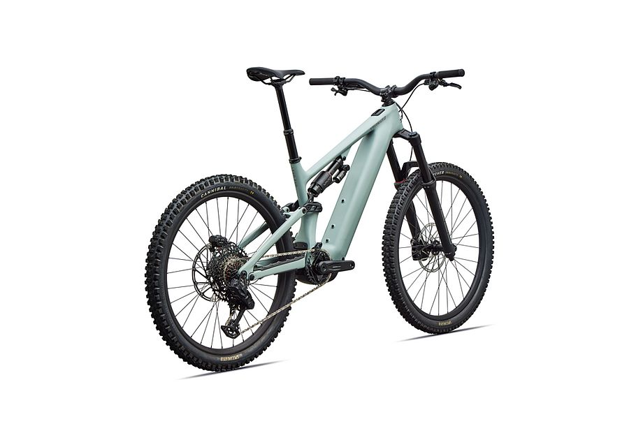 Specialized Levo 4 EVO Comp S6