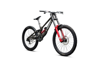 Specialized S-Works Demo 11