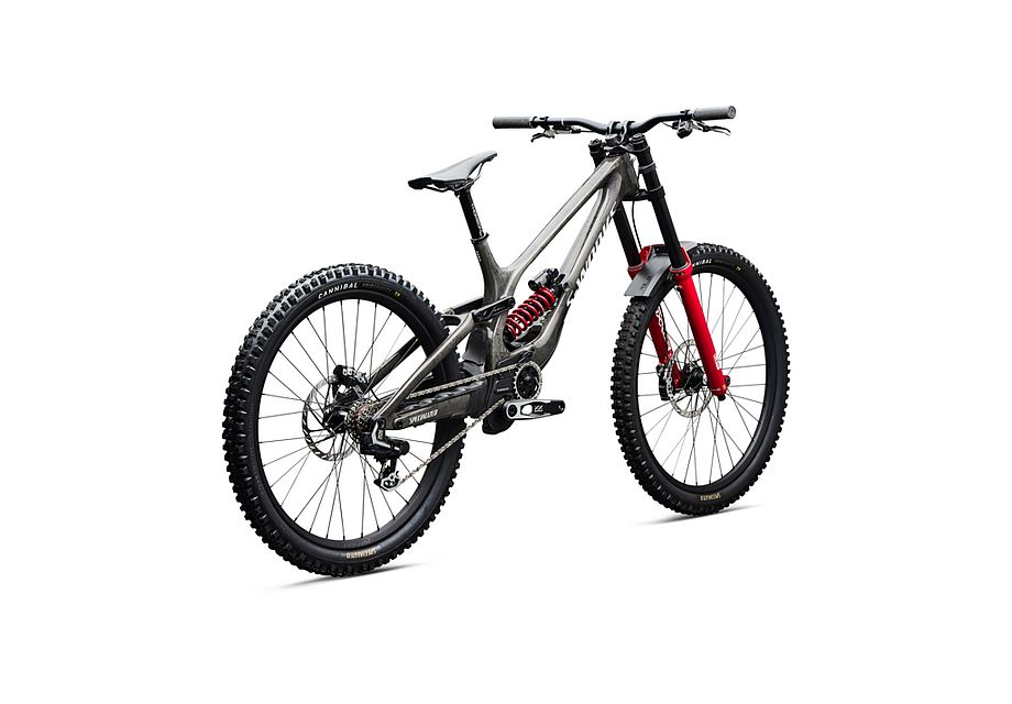 Specialized S-Works Demo 11