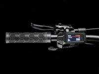 TREK Marlin+ 8 EU M 29