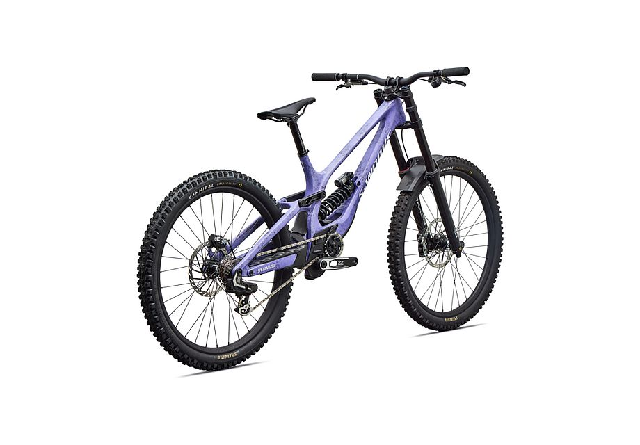 Specialized S-Works Demo 11