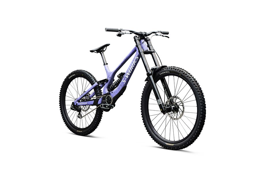 Specialized S-Works Demo 11