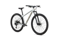 Specialized Rockhopper Expert